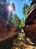 photo thumbnail #14