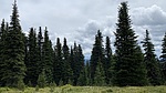 photo thumbnail #10