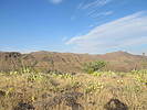 photo thumbnail #14