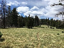 photo thumbnail #2