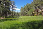 photo thumbnail #14