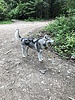 photo thumbnail #14