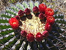 photo thumbnail #8