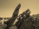 photo thumbnail #13