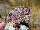 photo thumbnail #14