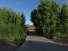 photo thumbnail #7