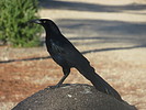 photo thumbnail #11