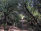 photo thumbnail #12