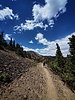 photo thumbnail #5