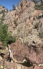 photo thumbnail #9