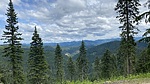 photo thumbnail #14