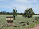 photo thumbnail #8