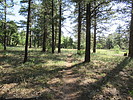 photo thumbnail #14