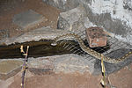 photo thumbnail #3
