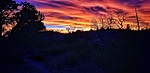 photo thumbnail #5