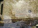 photo thumbnail #12