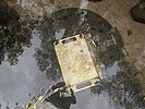 photo thumbnail #13