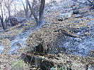 2020-06-30 :1: LaBarge Spring from Peralta :: hikerdw