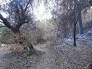 photo thumbnail #13