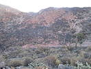 photo thumbnail #6