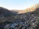 photo thumbnail #7