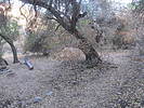 photo thumbnail #15