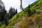 photo thumbnail #13