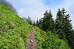 photo thumbnail #15