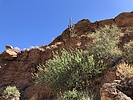 photo thumbnail #12