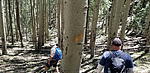 photo thumbnail #6