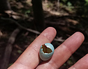 photo thumbnail #7