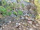 recent photo