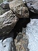 photo thumbnail #11