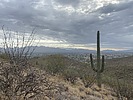 photo thumbnail #1
