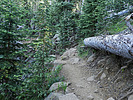 photo thumbnail #7