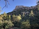 photo thumbnail #1
