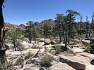 photo thumbnail #5