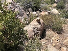 photo thumbnail #6