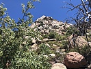 photo thumbnail #7