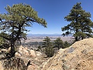 photo thumbnail #8
