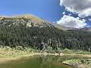 photo thumbnail #5