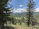 photo thumbnail #1