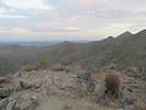 photo thumbnail #5