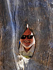 photo thumbnail #13