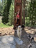 photo thumbnail #5