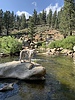 photo thumbnail #9