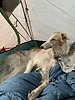 photo thumbnail #14