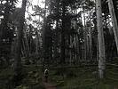 photo thumbnail #2