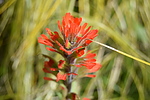 photo thumbnail #14