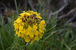 photo thumbnail #14